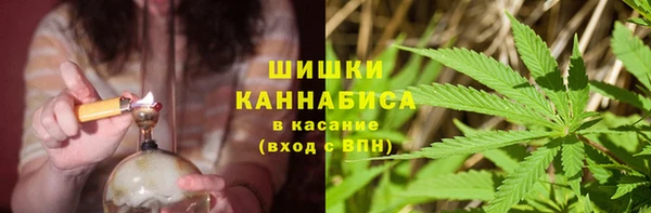 PSILOCYBIN Балахна