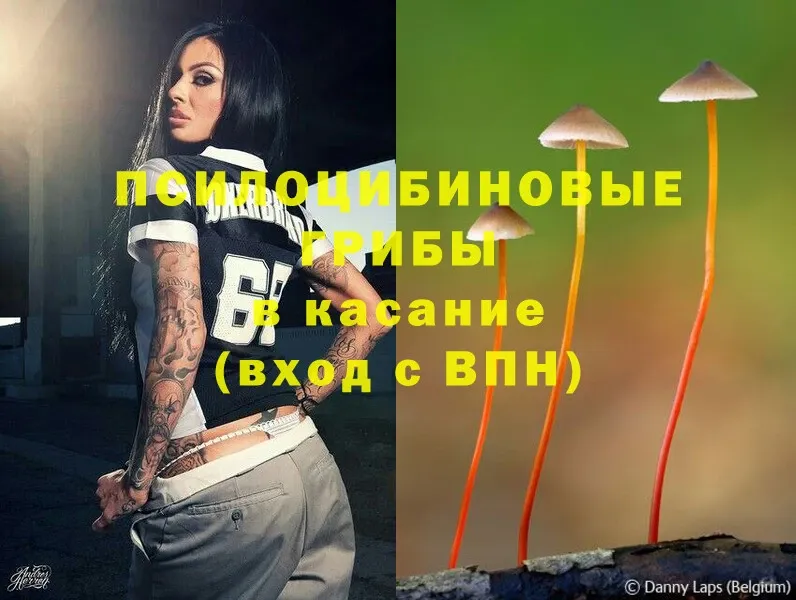 Псилоцибиновые грибы Magic Shrooms  Весьегонск 